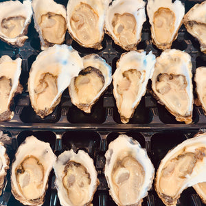 Large Sydney Rock Oysters