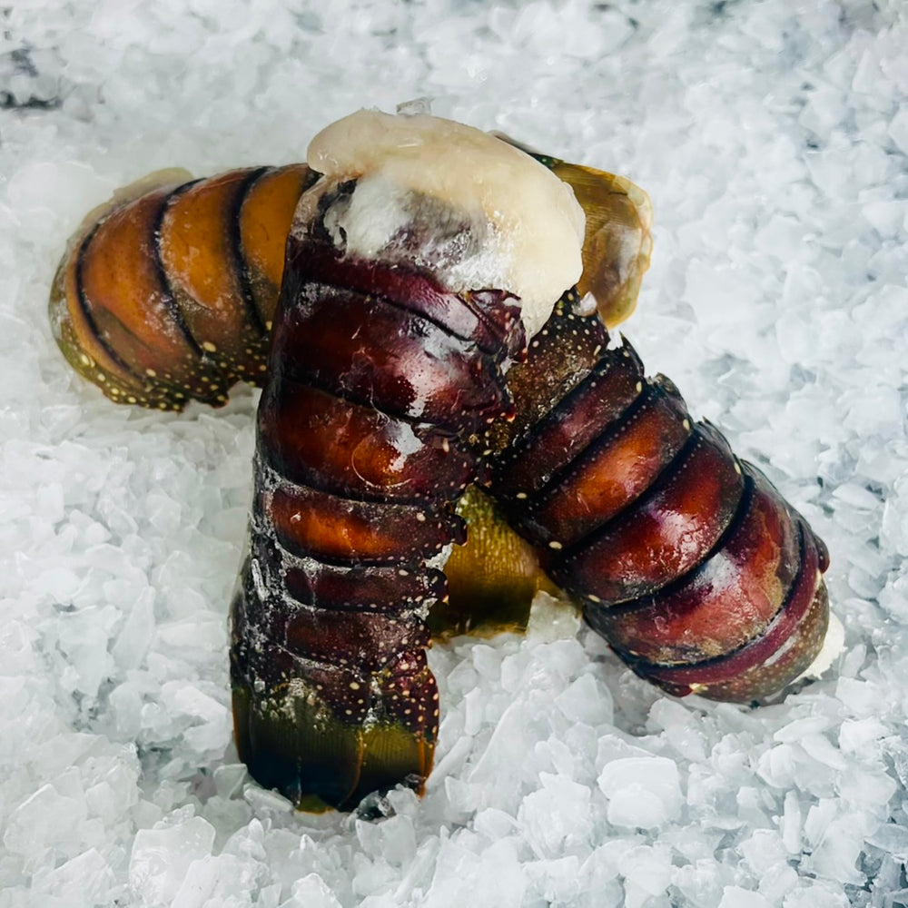 Lobster Tails - Raw