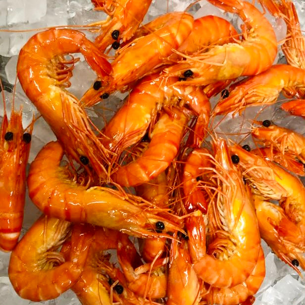 Large cooked QLD Tiger Prawns